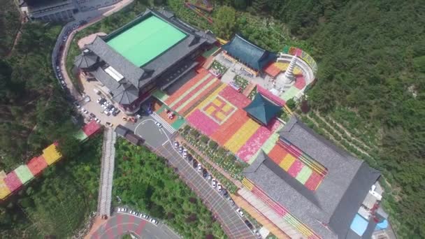 Festival Linterna Loto Templo Samgwangsa Busan Corea Del Sur Asia — Vídeo de stock