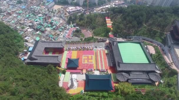 Festival Linterna Loto Templo Samgwangsa Busan Corea Del Sur Asia — Vídeo de stock