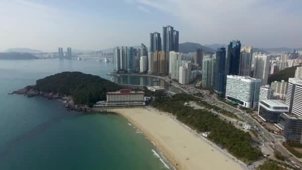 Zimowe Haeundae Beach Asia Busan Korea Południowa — Wideo stockowe