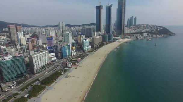 Vinter Haeundae Beach Busan Sydkorea Asien — Stockvideo