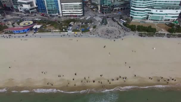 Vinter Haeundae Beach Busan Sydkorea Asien — Stockvideo