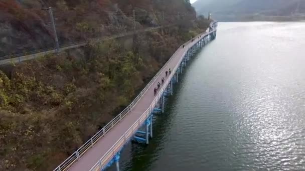Bicicletas Corriendo Por Río Nakdong Yangsan Corea Del Sur Asia — Vídeo de stock