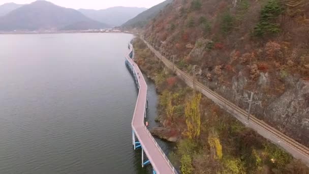 Cyklar Som Körs Den Nakdong River Yangsan Sydkorea Asien — Stockvideo