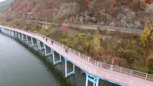 Nakdong Nehri Yangsan Güney Kore Asya Üzerinde Çalışan Bisiklet — Stok video