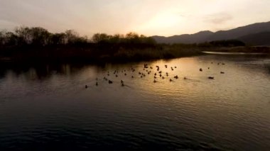 Gün batımında, Yangsan, Gyeongsangnamdo, Güney Kore, Asya nehirde oynarken Birs