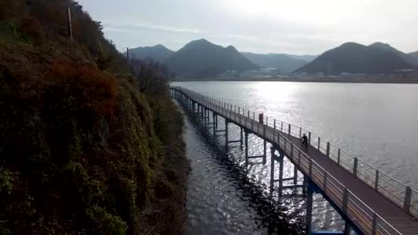 Bicicletas Corriendo Por Río Nakdong Yangsan Corea Del Sur Asia — Vídeo de stock