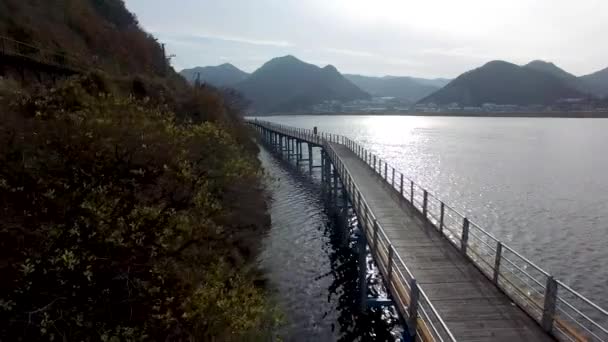 Ποδήλατα Που Εκτελείται Nakdong Ποταμός Yangsan Νότια Κορέα Ασία — Αρχείο Βίντεο