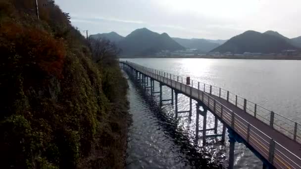 Bicicletas Corriendo Por Río Nakdong Yangsan Corea Del Sur Asia — Vídeo de stock