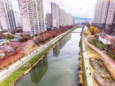 Sonbahar Oncheoncheon vatandaş Park, Busan, Güney Kore, Asya