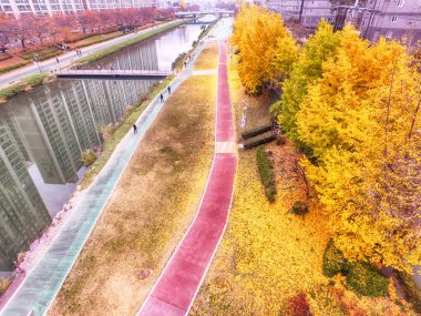Sonbahar Oncheoncheon vatandaş Park, Busan, Güney Kore, Asya