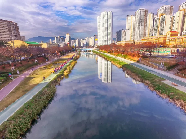 Oncheoncheon 市民公園 アジアの秋 — ストック写真