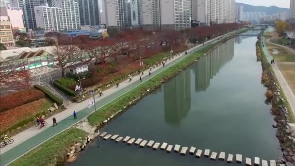 Otoño Oncheoncheon Citizen Park Busan Corea Del Sur Asia — Vídeos de Stock