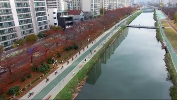 Sonbahar Oncheoncheon Vatandaş Park Busan Güney Kore Asya — Stok video