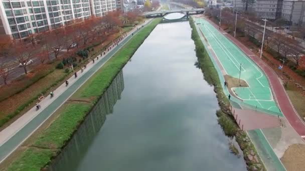 Jesień Azji Oncheoncheon Obywatel Park Busan Korea Południowa — Wideo stockowe