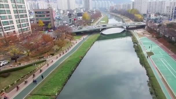 Sonbahar Oncheoncheon Vatandaş Park Busan Güney Kore Asya — Stok video