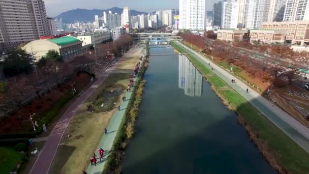 Φθινόπωρο Oncheoncheon Πάρκο Πολιτών Μπουσάν Νότια Κορέα Ασία — Αρχείο Βίντεο