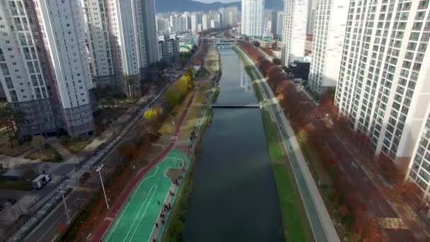 Sonbahar Oncheoncheon Vatandaş Park Busan Güney Kore Asya — Stok video