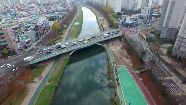 Sonbahar Oncheoncheon Vatandaş Park Busan Güney Kore Asya — Stok video