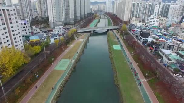 Jesień Azji Oncheoncheon Obywatel Park Busan Korea Południowa — Wideo stockowe