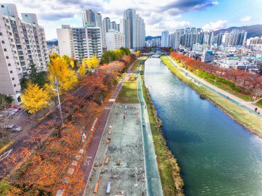 Sonbahar Oncheoncheon vatandaş Park, Busan, Güney Kore, Asya