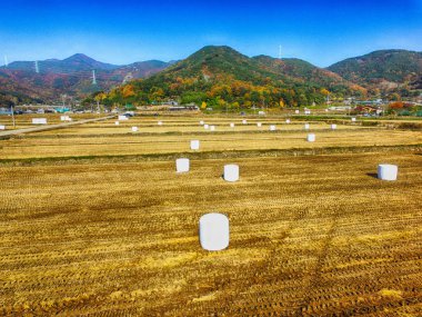 Silridge çeltik Wiryangji depo, Miryang, Gyeongsangnamdo, Güney Kore, Asya üzerinde