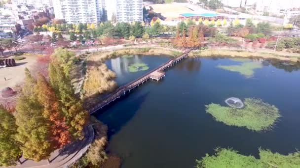 Widok Lotu Ptaka Azji Yeonji Park Gimhae Korea Korea Południowa — Wideo stockowe