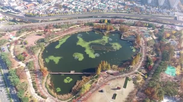 Pemandangan Udara Taman Yeonji Gimhae Gyeongsangnamdo Asia Selatan — Stok Video