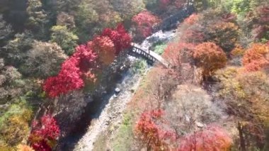 Gancheonsan dağın, Sunchang, Jeollanamdo, Güney Kore, Asya'nın sonbahar