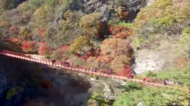 Herbst Des Gangcheonsan Gebirges Sunchang Jeollanamdo Südkorea Asien — Stockvideo