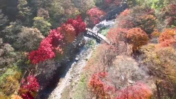 Herbst Des Gangcheonsan Gebirges Sunchang Jeollanamdo Südkorea Asien — Stockvideo