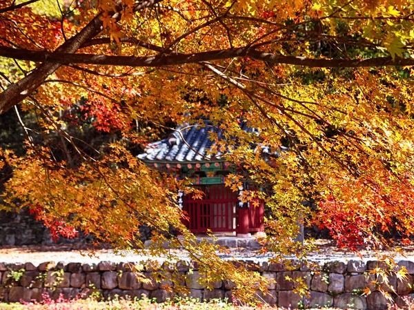 Jesień Azji Gancheonsan Góry Sunchang Jeollanamdo Korea Południowa — Zdjęcie stockowe