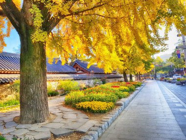 Jeonju Hanok köyü geleneksel Kore kasaba, Jeonju, Jeollabukdo, Güney Kore, Asya'nın sokak