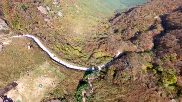 Ganwoljae Eogsae Festival Sinbulsan Berg Uljugun Ulsan Sydkorea Asien — Stockvideo