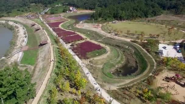 Flygfoto Över Agyang Ekologi Park Haman Gyeongnam Sydkorea Asien — Stockvideo