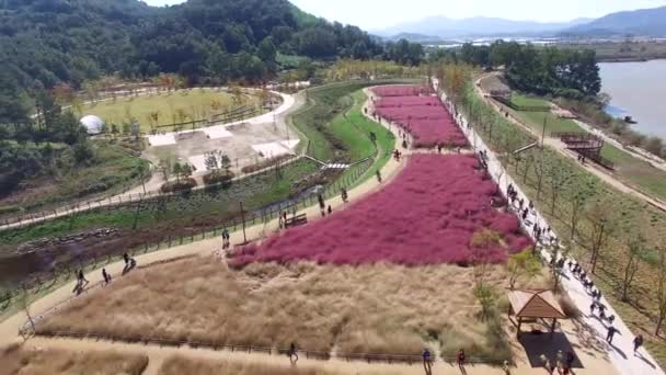 Aerial View Agyang Ecology Park Haman Gyeongnam South Korea Asia — Stock Video