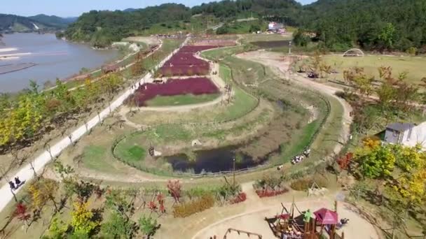 Luchtfoto Van Agyang Ecologie Park Haman Gyeongnam South Korea Azië — Stockvideo
