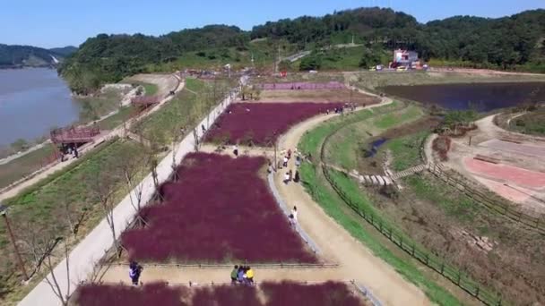 Vista Aérea Del Parque Ecológico Agyang Haman Gyeongnam Corea Del — Vídeos de Stock