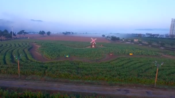 Luchtfoto Van Windmolen Namji Gyeongnam South Korea Azië — Stockvideo