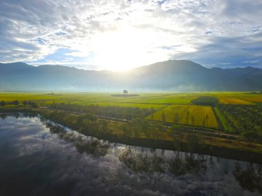 Koca ve karısı ağaç Akyang pirinç çeltik alan, Hadong, Gyeongsangnamdo, Güney Kore, Asya