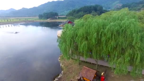 Vista Aérea Del Lago Dongjeongho Akyang Rice Paddy Field Hadong — Vídeos de Stock