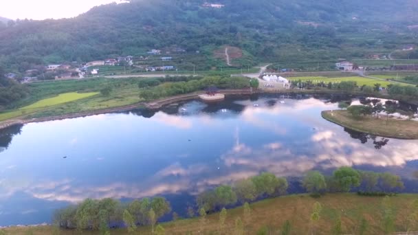 Luchtfoto Van Dongjeongho Lake Akyang Rice Paddy Veld Hadong Gyeongsangnam — Stockvideo