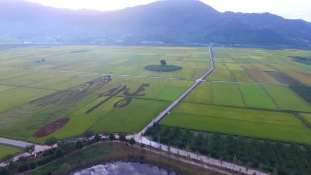 Vista Aérea Akyang Arroz Paddy Field Hadong Gyeongsangnamdo Coreia Sul — Vídeo de Stock