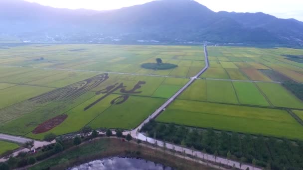 Luftaufnahme Des Reisfeldes Von Akyang Hadong Gyeongsangnamdo Südkorea Asien — Stockvideo