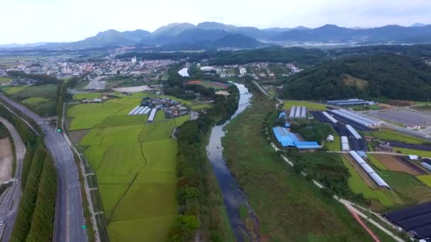 Widok Lotu Ptaka Gwanbangjerim Lasu Damyang Jeollanamdo Korei Południowej Azji — Wideo stockowe