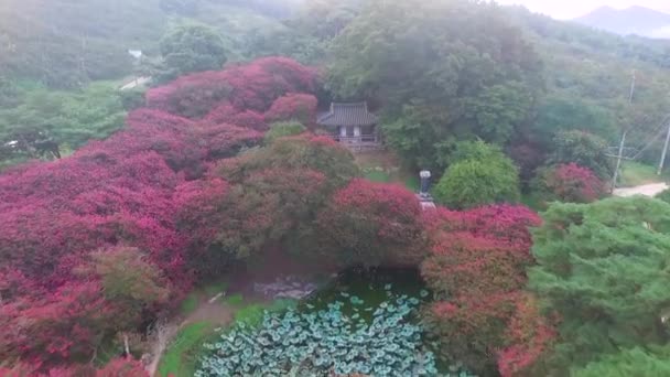 Koreanska Tradition House Myeongokheon Trädgård Damyang Jeollanamdo Sydkorea Asien — Stockvideo