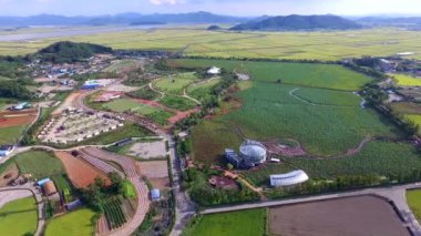 Hoesan Baekryunji beyaz Lotus rezervuar, Muan, Jeollanamdo, Güney Kore, Asya havadan görünümü