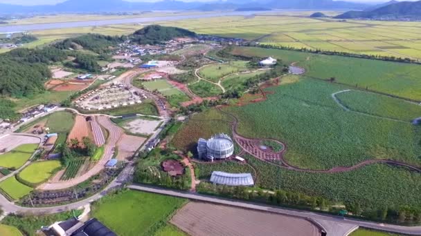 Vista Aérea Del Embalse Hoesan Baekryunji White Lotus Muan Jeollanamdo — Vídeo de stock