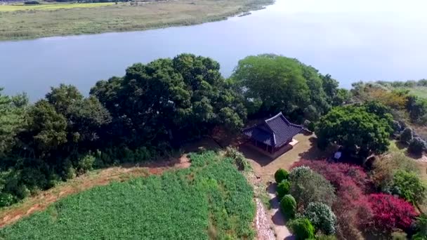 Flygfoto Över Koreanska Traditionella Hus Sigyeongjeong Pavillion Muan Jeollanamdo Sydkorea — Stockvideo