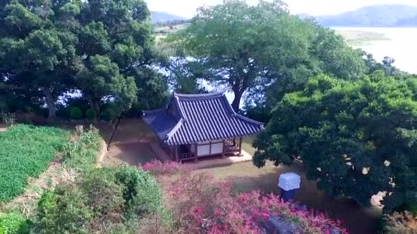 Widok Lotu Ptaka Koreański Tradycyjny Dom Sigyeongjeong Pavilion Muan Jeollanamdo — Wideo stockowe