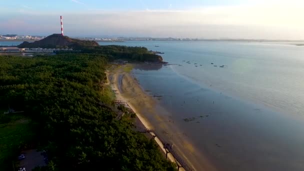 Vue Aérienne Du Skywalk à Songlim Mountain Forest Resort De Janghang, Chungcheongnamdo, Corée Du Sud, Asie 